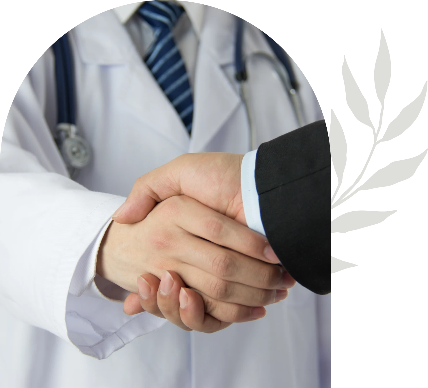 Doctor and professional shaking hands