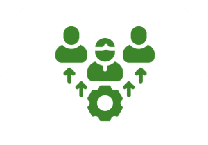 Workforce Systems & Stabilization