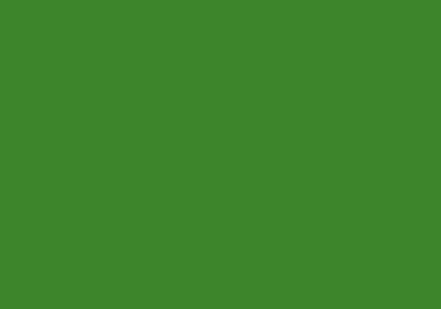 Solid green color background